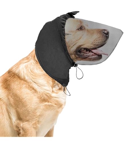 Amazon.com : LeongLzt Field Guard, Vet-Recommended Dog Safety Mesh